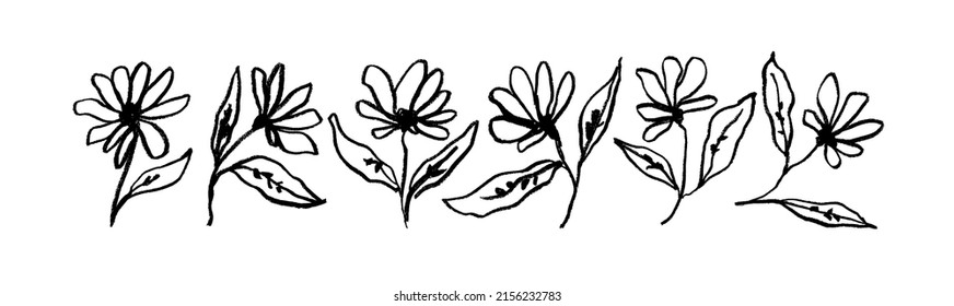 Simple linear flowers on stems isolated on white. Hand drawn vector botanical illustrations. Cute flowers and leaves cliparts. Chamomile hand painted vector set. Ink drawing wild plants and herbs 