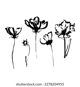 Simple linear flowers stems isolated white  Hand drawn vector botanical illustrations  Cute flowers   leaves cliparts  Chamomile hand painted vector set  Ink drawing wild plants   herbs 
