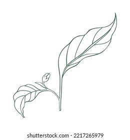 Simple linear icon of chili pepper leaves