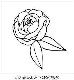 Simple linear illustration of a rose with leaves.Vector graphics.