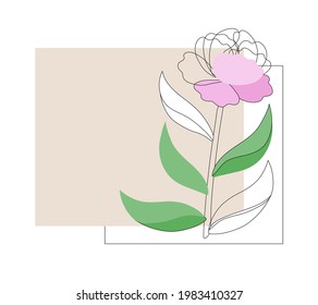 Simple linear peony flower background with text box in pink, green, white. Natural, botanical, floral illustration with plant. Vector design with outlines and color copy space, frame for inscription