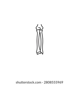 Simple linear vector drawing of human forearm bones ulna and radius isolated on white background anatomical concept art.