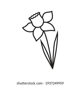 simple linear vector image drawing abstract logo icon daffodil spring flower garden isolated black on white background
