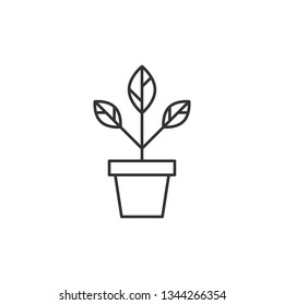 Simple liner Plant pot concept icon. Flower illustration