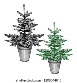 
A simple little Christmas tree in a galvanized bucket.
A set of two images.Vector vintage illustration. Sketching isolated objects on a white background. 