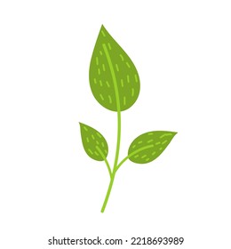 Simple little green leaf vector logo flat icon illustration. Isolated on white background.