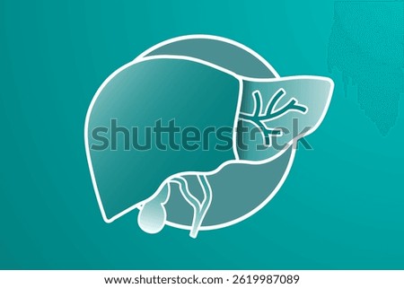 Simple Liver shape illustration cut in half to view cystic ducts, on gray background with ring frame. Gallbladder behind liver. Liver anatomy background template with  copy space. Vector Illustration.