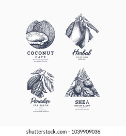 Simple logo collection. Engraved logotype set. Coconut, mango, cocoa, shea. Vector illustration