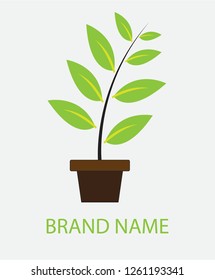 Simple logo design in the form of plants in pots for the appropriate company or community. This design is easily edited and customized according to your needs