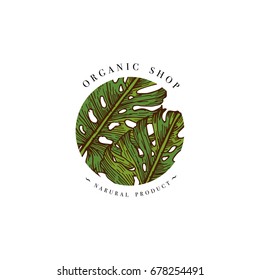 Simple logo. Engraved logotype. Tropical beauty salon and organic cosmetic symbol. Vector illustration