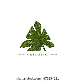 Simple logo. Engraved logotype. Tropical beauty salon and organic cosmetic symbol. Vector illustration