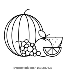 Simple Logo Line Fruits Vector Illustration