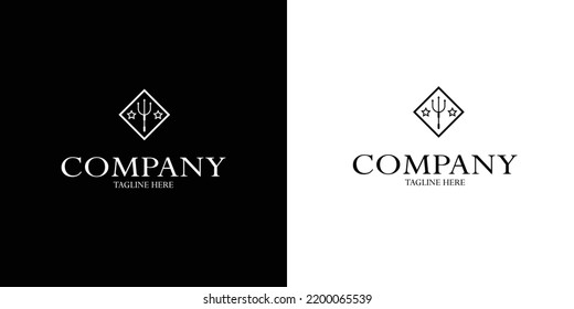 simple logo of a sharp spear two stars next to and on the frame