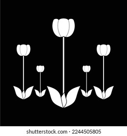 simple and luxurious black and white tulip flower, suitable for use in all fields, especially those related to the plant world