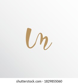 simple and luxurious vw letter logo