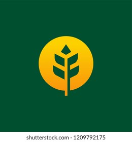 Simple Luxury Grain Wheat logo designs concept vector, Agriculture wheat Logo Template vector icon