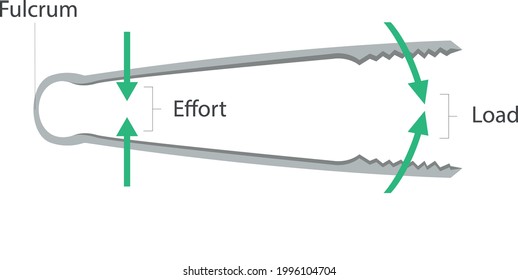 Simple Machines: Lever - Tongs