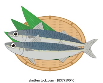 Simple mackerel illustration on white background