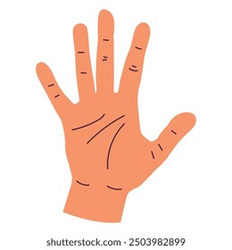 Ilustración masculina simple de la historieta del Vector de la mano aislada en un fondo blanco.