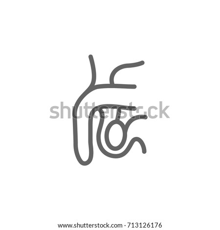 veľký rez penis