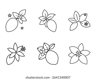 a simple mango blossom icon with small clustered f
