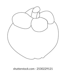 Simple mangosteen fruit sketch, minimalist outline of mangosteen fruit, whole fruit and other half. Ideal for use in illustrations, educational materials, or as icons in various creative projects.