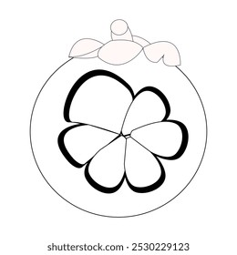 Simple mangosteen fruit sketch, minimalist outline of mangosteen fruit, whole fruit and other half. Ideal for use in illustrations, educational materials, or as icons in various creative projects.