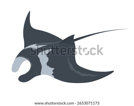 Simple manta ray vector illustration