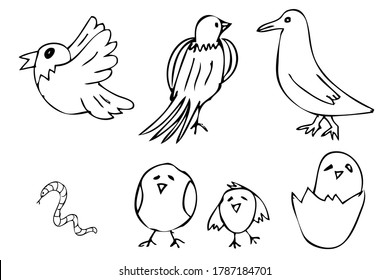 einfaches Handzeichnen von Hand Skizze Vogel und Wurm, 
