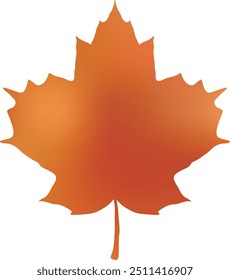 simple maple foliage in autumn gradation 