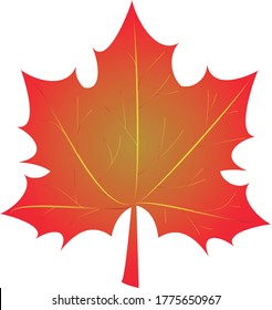 Simple maple leaf. Red-yellow gradient. Symbol of autumn. Symbol of Canada.