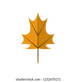 Simple Maple Orange Autumn Leaf Illustration Symbol Graphic Design