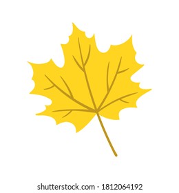 Simple maple tree leaf illustration. Hand drawn autumn leaf
