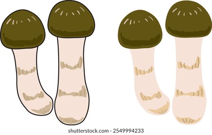 Simple matsutake mushroom illustration. 
Japanese luxury ingredients.