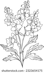 simple dibujo de mimilis delphinium flower tattoo, dibujo artístico de boceto a mano pintado a mano página de coloración con ramas larskapur de flor palo de colección de flores naturales de hoja, tatuaje pequeño con delfinio.