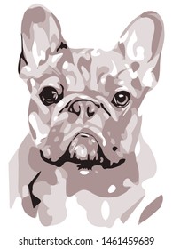 Simple and minimal color French Bulldog dog illustration, isolated style on white background