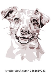 Simple and minimal color Jack Russell dog illustration, isolated style on white background