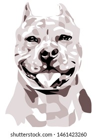 Simple and minimal color Pitbull dog illustration, isolated style on white background