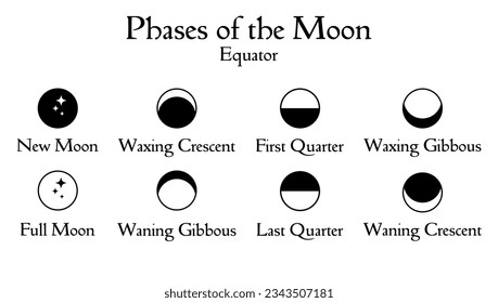 Un simple conjunto de iconos de diseño mínimo de fases de la luna en el ecuador. Programador de actividades astronómicas y astronómicas a la luz de la luna. Elemento de ciclo mensual aislado en iluminación vectorial blanca.