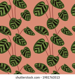 Simple minimal green calathea leaves tropical seamless pattern. Pink background. Flat jungle foliage modern texture. Stock vector illustration.