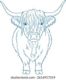 Simple Minimal Hand Drawn Highland Cow Front View