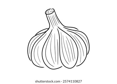 A simple, minimal, hand-drawn garlic. Good for any project.