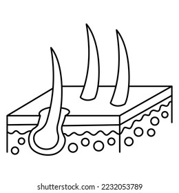 Icono simple mínimo de contorno de la sección isométrica de la piel humana con folículos capilares. Pictograma de vector de línea delgada negro moderno aislado en fondo transparente. Grosor de línea editable
