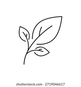 Diseño de Vector de línea delgada con logotipo de hoja de planta mínimo simple
