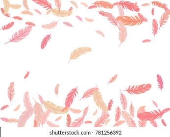 Simple minimalist border background feather pattern frame. Print with pink plumelet. Editable backdrop with flying elements and place for text. Feather design, card template.