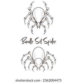 simple and minimalist design illustration, bundle set iof spider animal Halloween elements