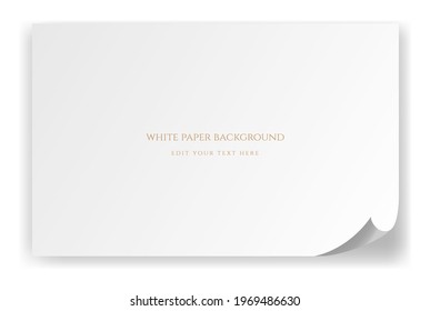 Simple Minimalist Elegant Luxury Blank White Paper Background Design Vector