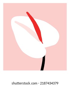 Simple Minimalist Floral Vector Illustration with White Calla Isolated on a Pastel Pink Background. White Exotic Flower ith Red Long Stamen and Black Stalk.Tropical Flower Print ideal for Card,Poster.