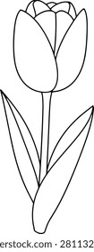 Simple Minimalist Flower Single Tulip in Full Bloom With Clean Outlines Isolated on a Plain White Background
