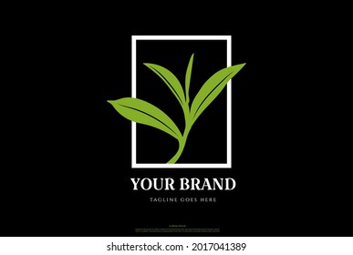 Simple Minimalist Green Tea Leaf Leaves Bud Shoot Logo Design Vector